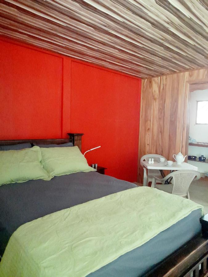 Hostel Osa Tucan Drake Drakes Bay Oda fotoğraf