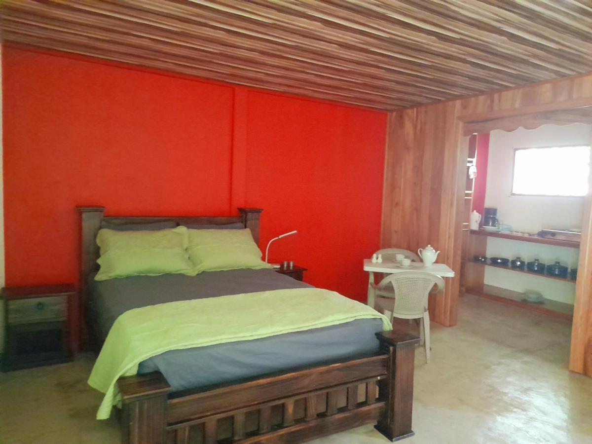Hostel Osa Tucan Drake Drakes Bay Dış mekan fotoğraf