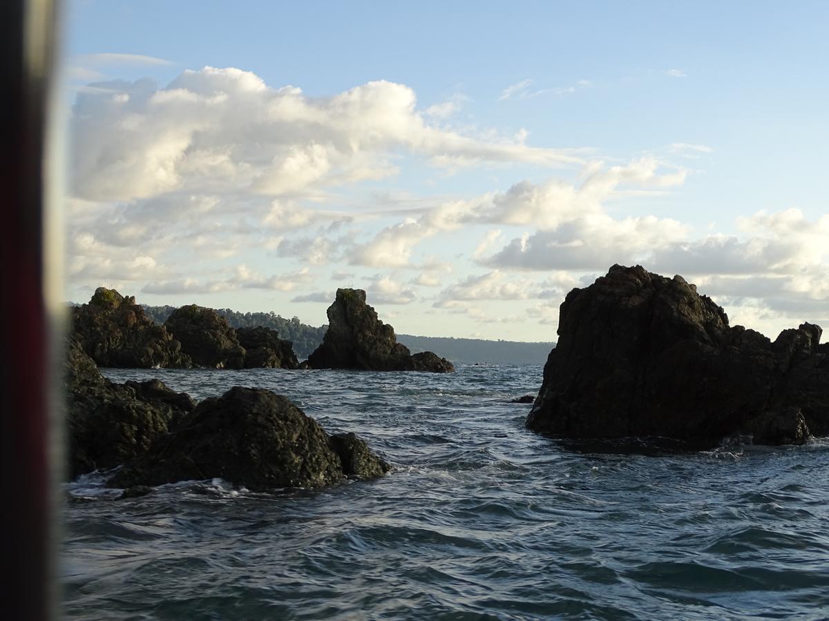 Hostel Osa Tucan Drake Drakes Bay Dış mekan fotoğraf