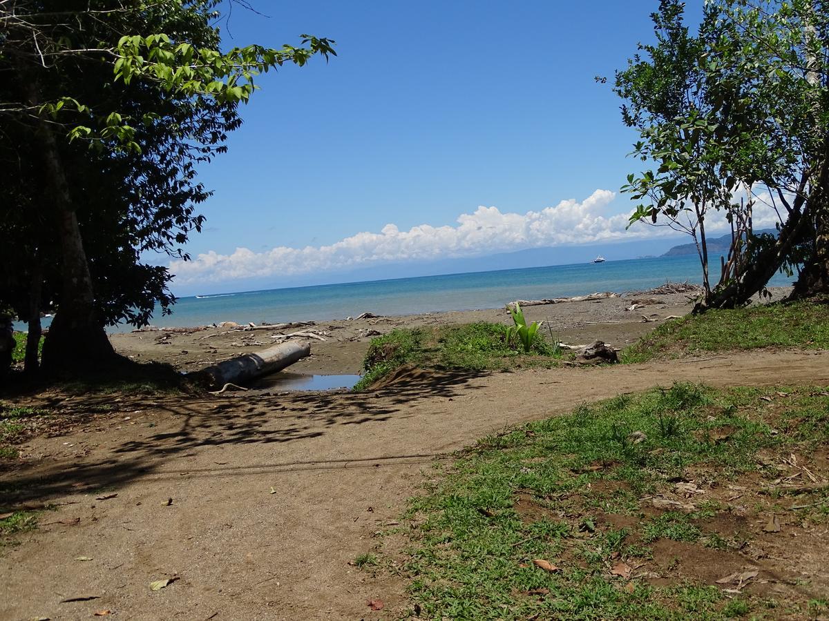 Hostel Osa Tucan Drake Drakes Bay Dış mekan fotoğraf