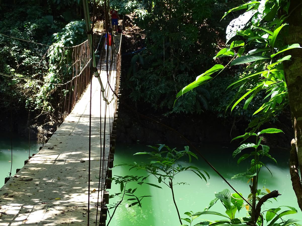 Hostel Osa Tucan Drake Drakes Bay Dış mekan fotoğraf