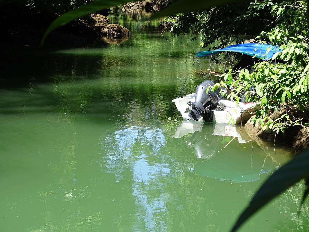 Hostel Osa Tucan Drake Drakes Bay Dış mekan fotoğraf